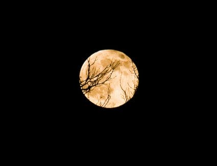 full moon
