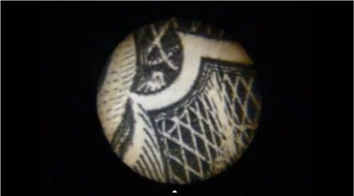 owl hidden on one dollar bill