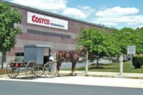 Amish money myths
