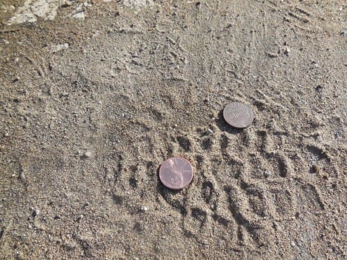 found money