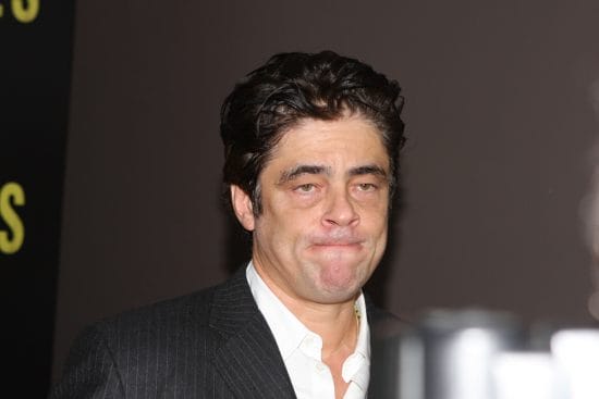 Benicia del Toro Net Worth