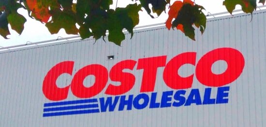 Costco Citigroup Visa Benefits