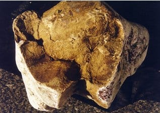 strange stuff worth more than you can imagine whale vomit