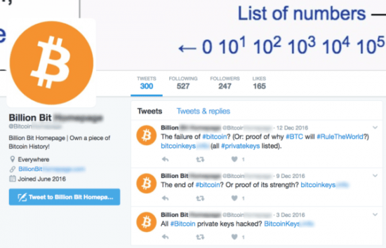 Bitcoin brand impersonator example