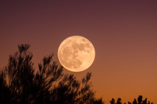 How to see the Super Blue Blood Moon