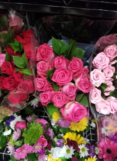 Costco Roses