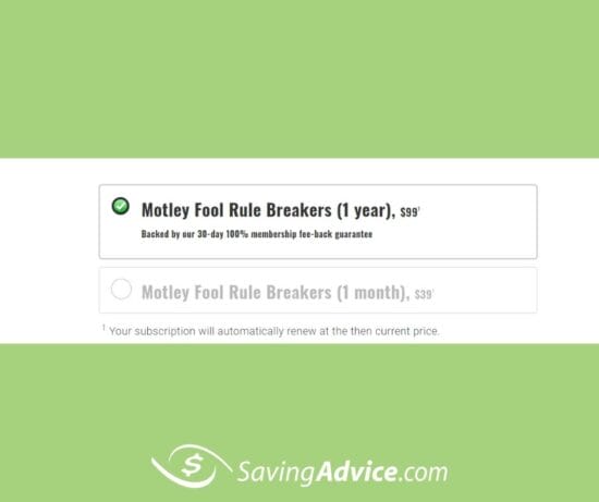 motley fool stock advisor review