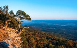 The Lowest Property Taxes in Arkansas