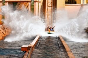 The Log Flume