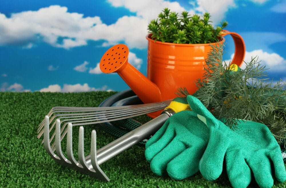 Affordable Gardening Tools