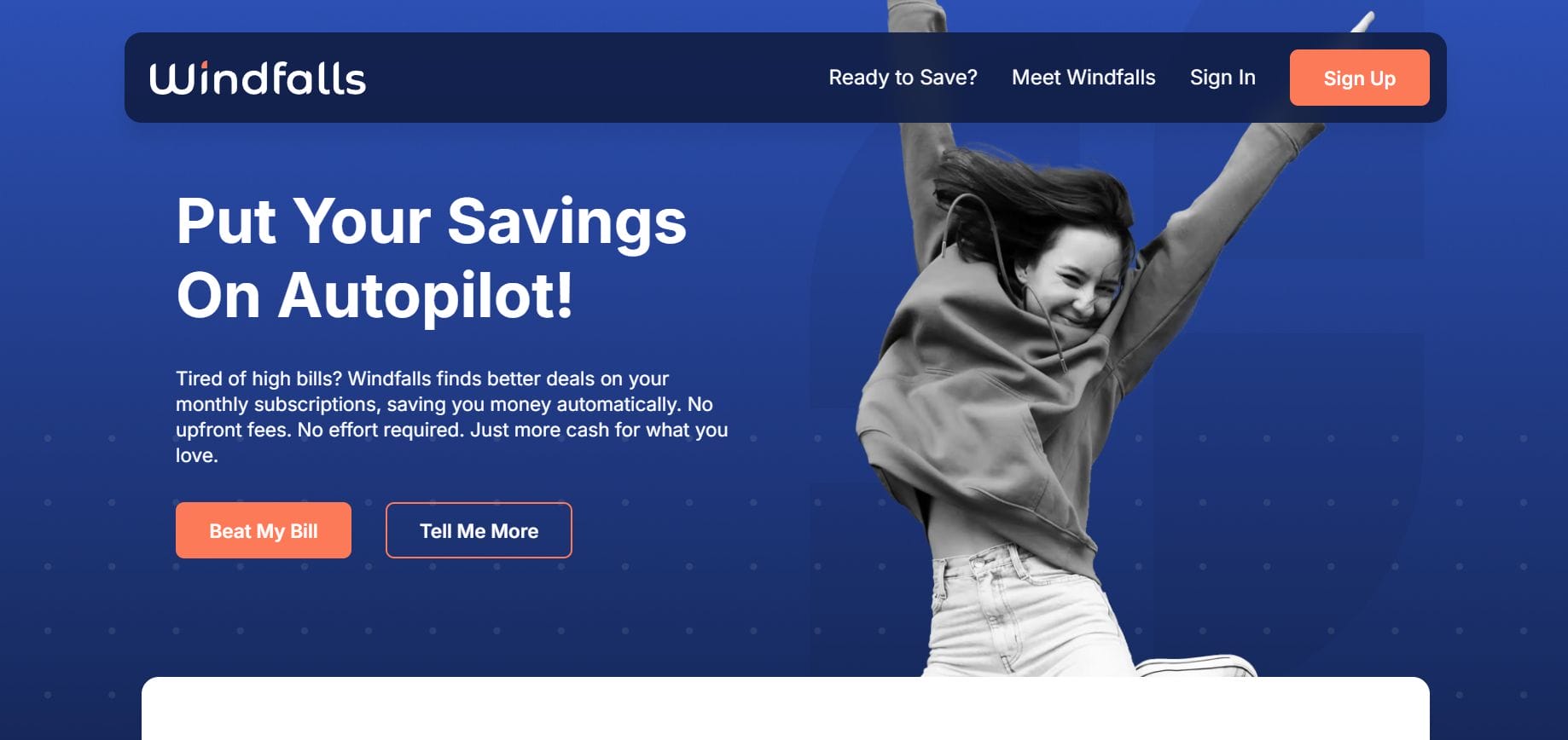 Main page of windfalls ai app website